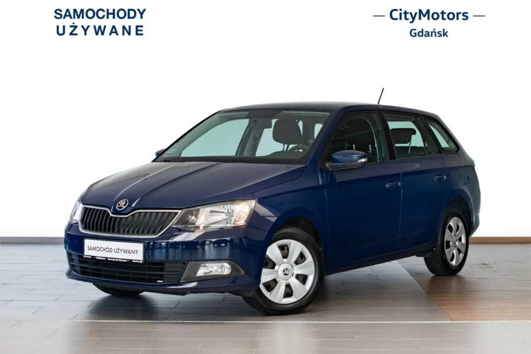 Skoda Fabia Ambition 1.0MPI 75KM, 2018, FakturaVAT23%, ASO, CityMotors